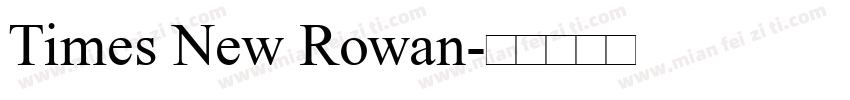 Times New Rowan字体转换